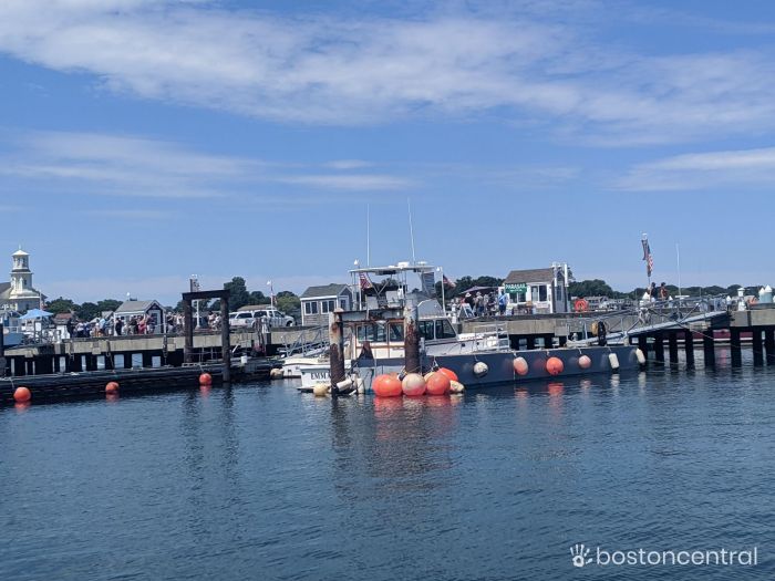 provincetown-fast-ferry-boston-daytrip